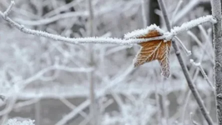 Ինչ եղանակ է սպասվում առաջիկա օրերին