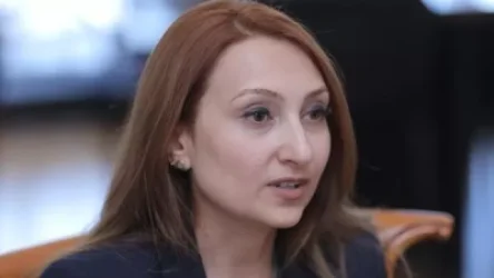 Լիլիթ Մակունցը «վնգստացող դատավորներ» արտահայտությունը կոռեկտ չհամարեց