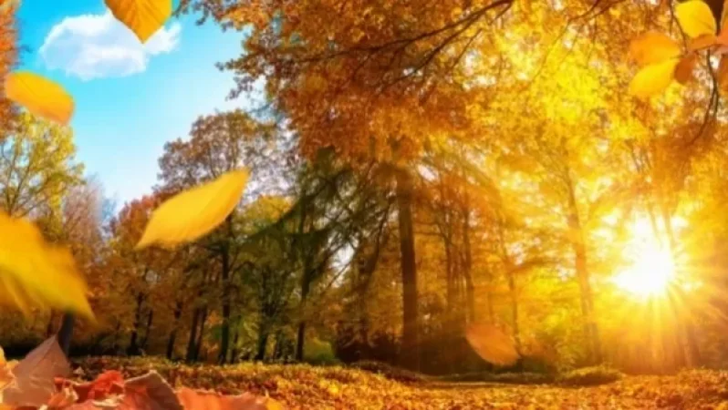 Առաջիկա օրերի եղանակ ՀՀ տարածքում