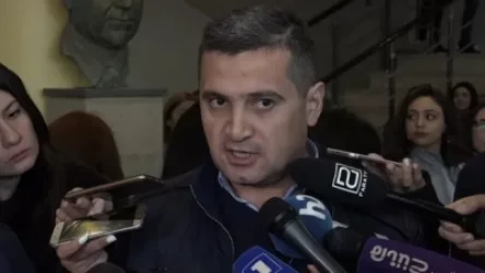 Նախարարն ինքը կարող է կոչով դիմել ուսանողներին վերադառնալ լսարաններ. Արշալույս Գալստյան