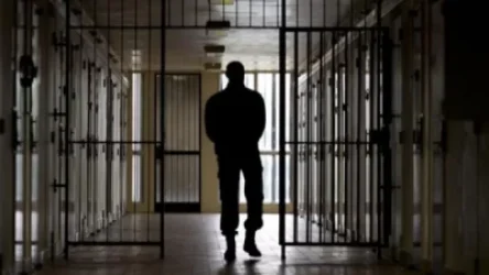 Համաներմամբ ազատ արձակվածներից քանի՞սն են նոր հանցագործություն կատարել․ մանրամասներ