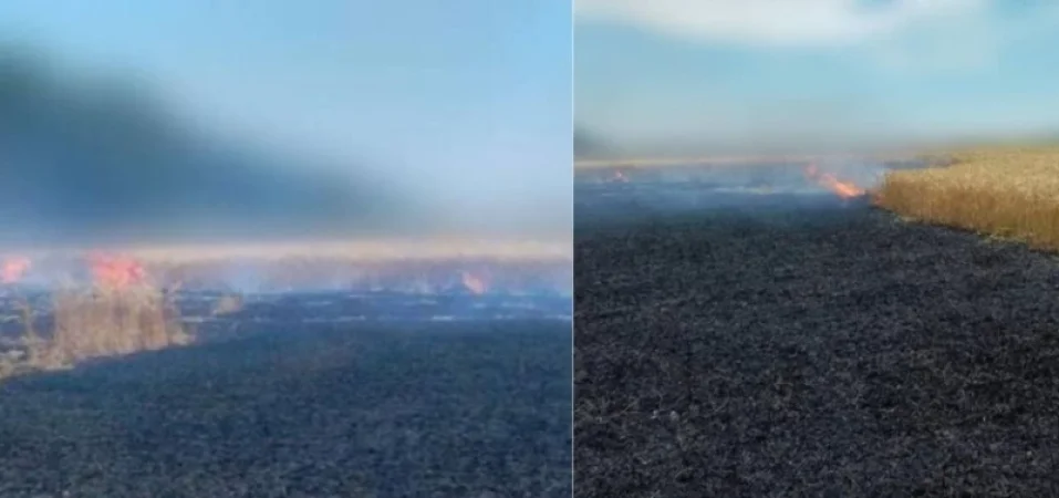 Ռուսաստանն «Իսկանդերով» հարվածել է Օդեսայի շրջանին․ հայտնում են Ուկրաինայից