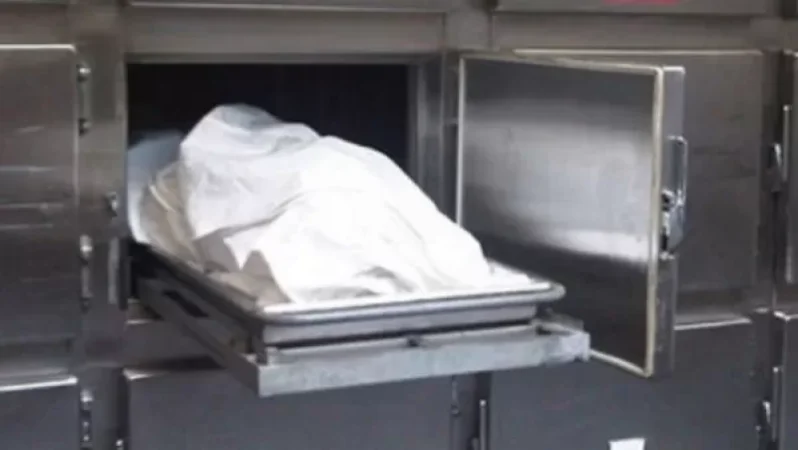 Հայաստանում 2 դիակիզարան կբացվի․ Արման Իսկանդարյան