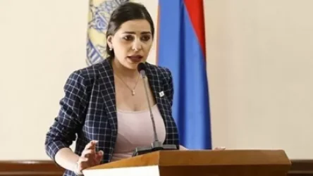 Մի սադրեք մեզ, հերիք ա էլի, հերիք ա. Թեհիմնա Վարդանյանը` Մարությանին