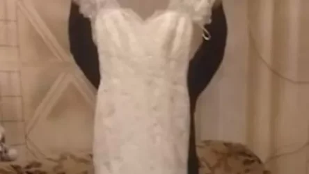 Գողացած հարսանեկան զգեստը վաճառելու պահին ոստիկանները բռնել են գողերին