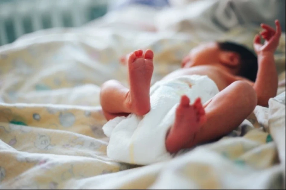 Armenia to Standardize One-Time Birth Grant at 500,000 AMD in 2026