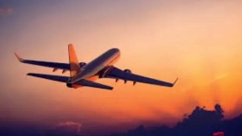 Հայկական նոր ավիաընկերություն մուտք կգործի շուկա․ Տաթևիկ Ռևազյան