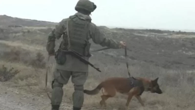 Ռուս խաղաղապահներն Արցախում վնասազերծվել է ավելի քան 23,7 հազար պայթուցիկ առարկան. ՌԴ ՊՆ