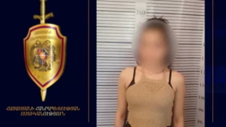 ՏԵՍԱՆՅՈՒԹ․ Գողության մեղադրանքով 18-ամյա աղջիկ է բերման ենթարկվել