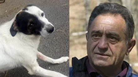 Շանը կրակելու փաստով Դիլիջանի ազգային պարկի տնօրենին մեղադրանք է առաջադրվել