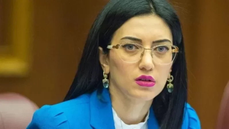 Արփինե Հովհաննիսյանը խնդրանքով դիմել է ՍԴ դատավորներին