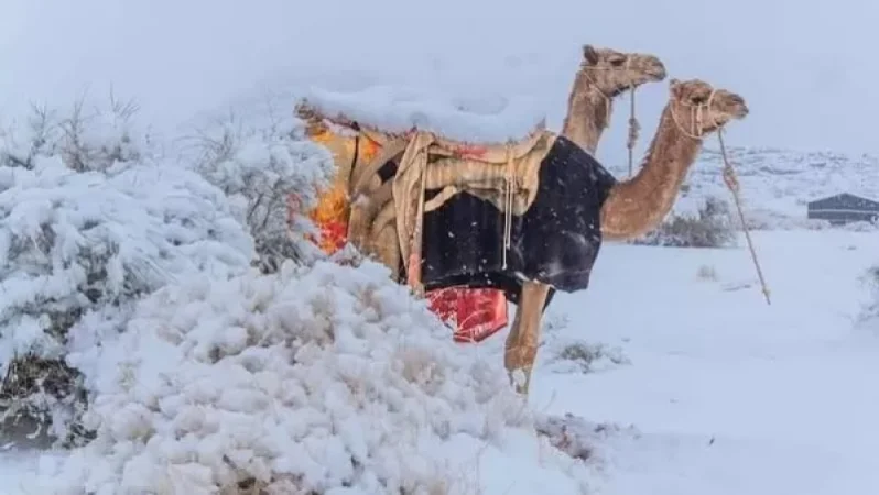 Սահարայում ձյուն է տեղացել