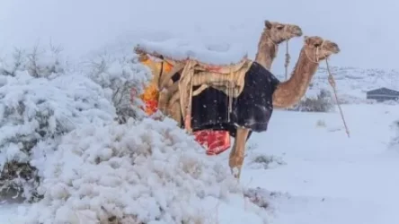 Սահարայում ձյուն է տեղացել
