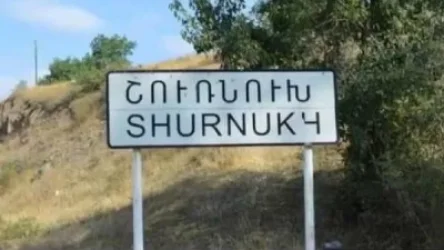 Լրիվ էլեկտրական լարեր ենք քաշել, անց կացրել,  որ մեր անասունները չիջնեն, գնան ձորը.  Շուռնուխի գյուղապետ