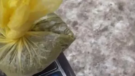 ՏԵՍԱՆՅՈՒԹ. Արտաշատի 50-ամյա բնակչի տանն առանձնապես խոշոր չափի թմրանյութ են հայտնաբերել