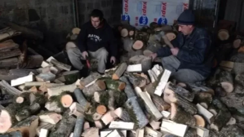 Վառելափայտով բարձած մեքենաները անհիմն պահվում են ոստիկանությունում. «Շիրակ Կենտրոն» ՀԿ