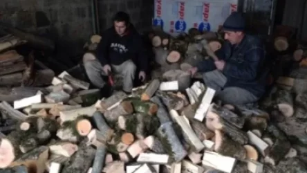 Վառելափայտով բարձած մեքենաները անհիմն պահվում են ոստիկանությունում. «Շիրակ Կենտրոն» ՀԿ