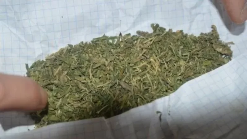 Բացահայտվել են թմրամիջոցների ապօրինի շրջանառության դեպքեր. հարուցվել է քրեական գործ