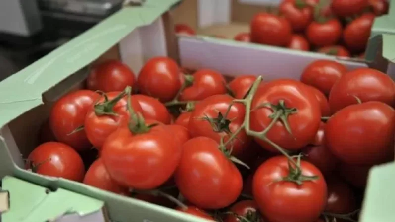 Ղազախստանն արգելել է ադրբեջանական լոլիկի ներկրումը