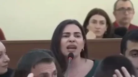 ՏԵՍԱՆՅՈՒԹ․ Հերիք է այդպես ցինիկ ծիծաղեք. Թեհմինա Վարդանյանը՝ Հայկ Մարությանին