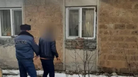 ՏԵՍԱՆՅՈՒԹ.  Արզնի գյուղի առանձնատներից ոսկեղեն հափշտակած անձը կալանավորվել է