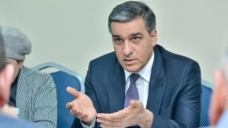 Սահմանների որոշման գործընթացը պետք է անհապաղ դադարեցվի կամ ենթարկվի սկզբունքային վերանայման. ՄԻՊ