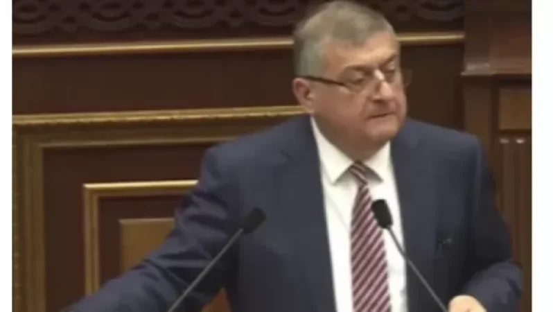 Video: My 'Mansion' Is Nothing Compared to My Neighbors' Mansions, Says Gagik Jhangiryan