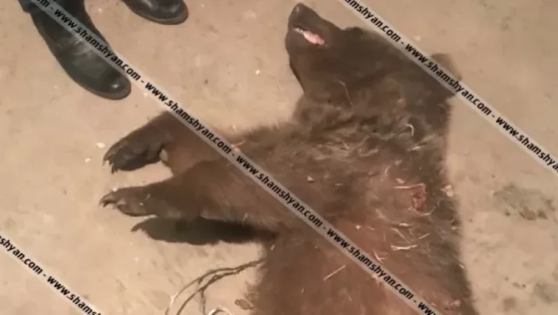 Նախարարությունն անդրադարձել է Օհանավան գյուղում տեղի ունեցած դեպքին