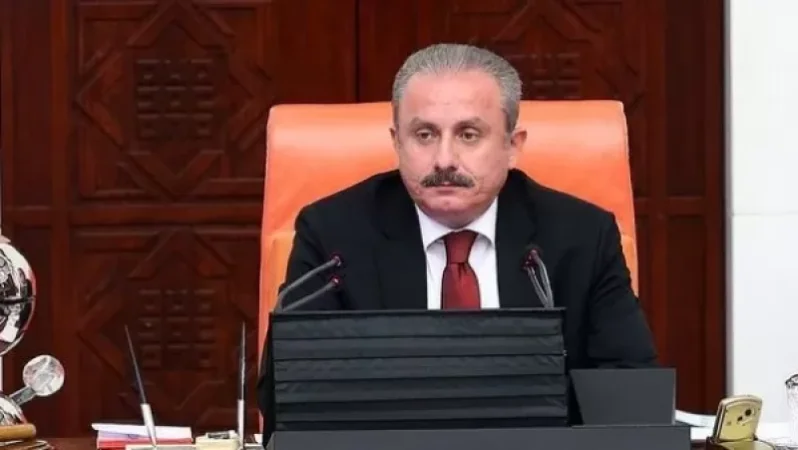 Թուրքիայի մեջլիսի նախագահը Բաքվում դժգոհել է hայերի օգտին ընդունվող բանաձևերից