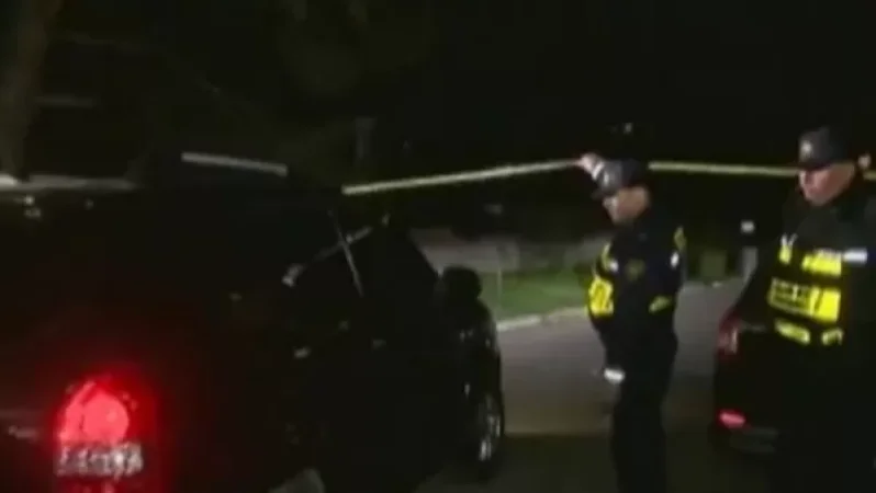 Դանակահարել են Վրաստանի նախկին նախագահի որդուն