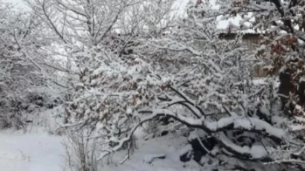 Անցած գիշերվա նման ցուրտ գիշեր վերջին անգամ եղել է երեք տարի առաջ