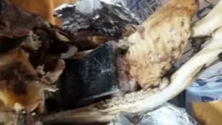 «Թմրանյութ՝ Գյումրվա քյալլայի մեջ». Արթուր Գոյունյանը մանրամասներ է ներկայացրել