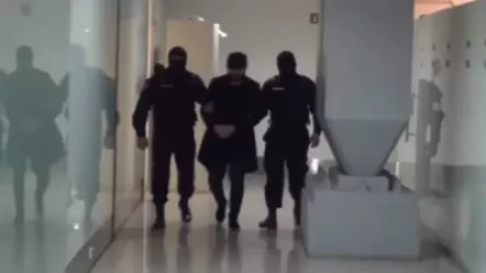 ՏԵՍԱՆՅՈՒԹ. Նարեկ Սարգսյանը ոստիկանության ծառայողների ուղեկցությամբ Չեխիայից Հայաստան տեղափոխվեց