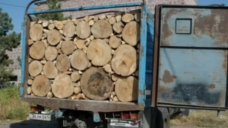 Ոստիկանները ապօրինի ծառահատման դեպք են բացահայտել