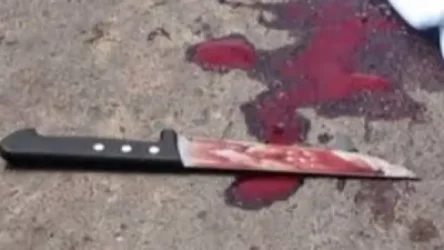 Քիչ առաջ դաժան սպանություն Արարատի մարզում