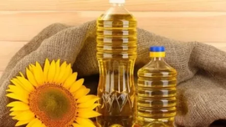 ՏՄՊՊՀ-ն ուսումնասիրել է արևածաղկի ձեթի մանրածախ գնի բարձրացման պատճառները