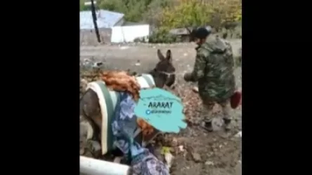 ՏԵՍԱՆՅՈՒԹ. Ադրբեջանցի զինվորականները գողանում են հավեր, էշեր և նույնիսկ վառարանի խողովակներ