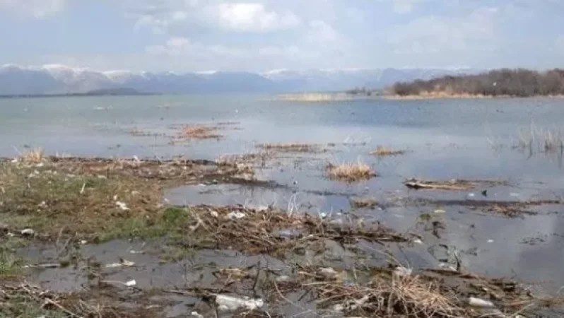 Սևանի ափամերձ տարածքները մաքրող ընկերության նկատմամբ քրեական գործ է հարուցվել. նախարար