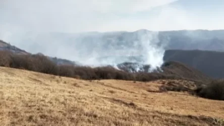 Շնող գյուղի տարածքում մթության պատճառով հրդեհաշիջման աշխատանքները դադարեցվել են