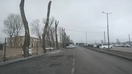 Գյումրու մաքսատան կառուցման համար ծառեր են հատվել. Հայկ Բարսեղյանի ահազանգը