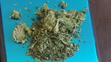 ՏԵՍԱՆՅՈՒԹ.  Ապօրինի թմրաշրջանառության դեպք է  բացահայտվել