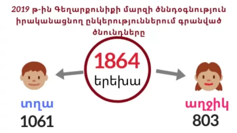 2019 թվականին Գեղարքունիքի մարզում 1864 երեխա է ծնվել. մարզպետ