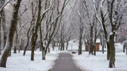 Օդի ջերմաստիճանը փետրվարի 1-3-ի ցերեկն աստիճանաբար կբարձրանա 5-6 աստիճանով. «Հայպետհիդրոմետ»