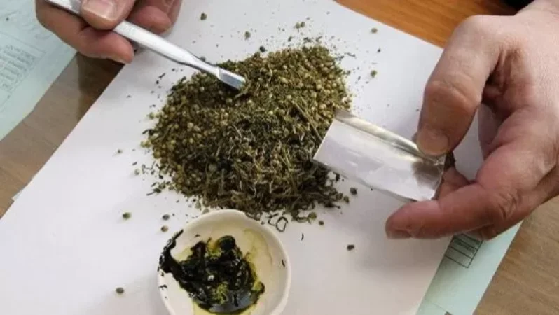 Բացահայտվել է առանձնապես խոշոր չափերի թմրամիջոցների ապօրինի շրջանառության շղթան. ՔԿ