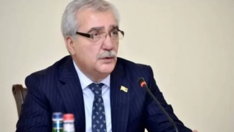 «Պատրոն Դավոյի» նկատմամբ քրեական գործեր կան, պետք է ուրախանանք. Անդրանիկ Քոչարյան