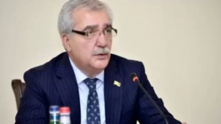 «Պատրոն Դավոյի» նկատմամբ քրեական գործեր կան, պետք է ուրախանանք. Անդրանիկ Քոչարյան