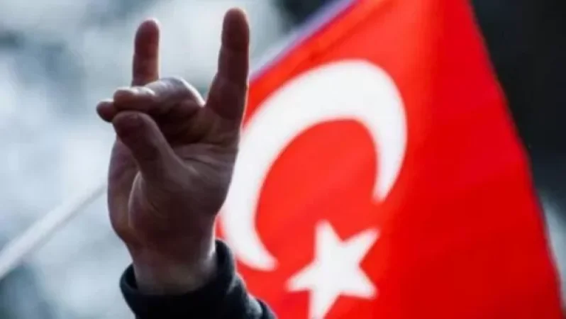 Մտահոգության տեղիք է տալիս նեոֆաշիստական «Գորշ գայլեր»-ի մտադրությունը՝ որոշ նախագծեր իրականացնել Շուշիում. Արցախի ԱԳՆ