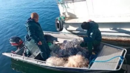 Սևանա լճից դուրս է բերվել 64 ապօրինի ցանց. սահմանվել է ուժեղացված հսկողություն