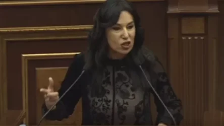 ՏԵՍԱՆՅՈՒԹ. Հիմա էլի կսկսեն ասել` «մեզ վիրավորեց», լա՛վ եմ անում, այո՛, լա՛վ եմ անում. Զոհրաբյան