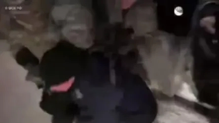 ՏԵՍԱՆՅՈՒԹ. Ռուսաստանում բացահայտել է զենքի պատրաստման գաղտնի գործող 49 արհեստանոցներ